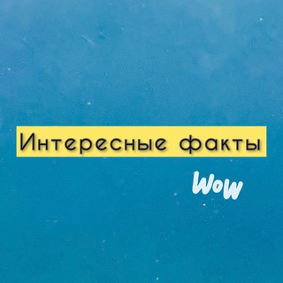 Интересные факты