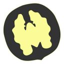 Мудроед Павел Богаччи