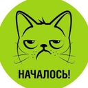 НАЧАЛОСЬ!