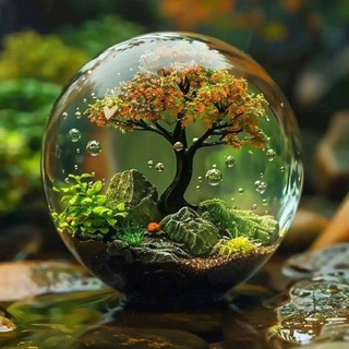 Удивительная красота 🔥☘️