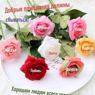💦™₇₂На все случаи жизни...🎆