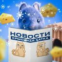 Крысиная хатка | НОВОСТИ