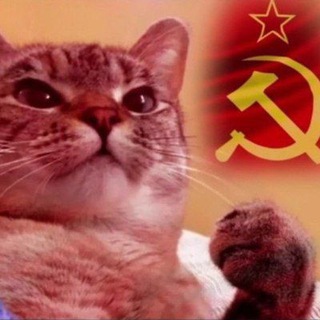 🇳 🇰 🇴 🇻 🇮 🇩 🇪