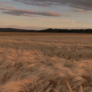 Обои с природой ✨🌺