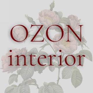 ozon interior