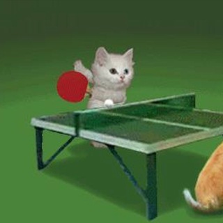 Ping Pong Show 🏓