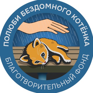 Полюби бездомного котёнка