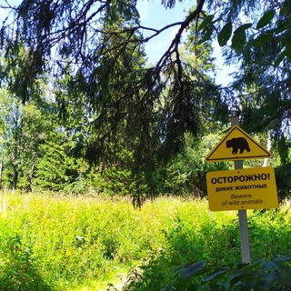 🐾 Походы по России с рюкзаком (треккинг, хайкинг, бэкпекинг)