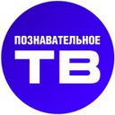 Познавательное ТВ - Артём Войтенков