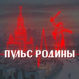 ПУЛЬС РОДИНЫ
