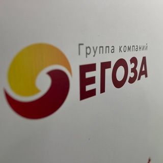 Карьера в Егоза