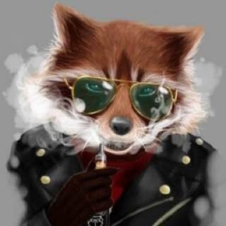 Raccoon smokes электронки Опт