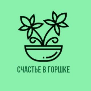 Счастье в горшке 🪴