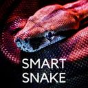 SmartSnake ХНМУ⚕️