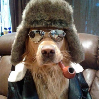 Смехляндия