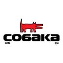«Собака.ru»