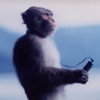 SPACEmonkey