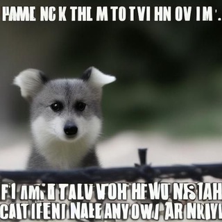 Spzjn (украденные) Мемы