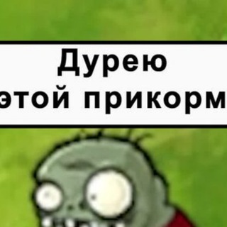 Я ДУРЕЮ С ЭТОЙ ПРИКОРМКИ