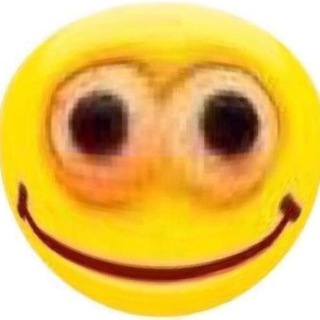 stupid memes