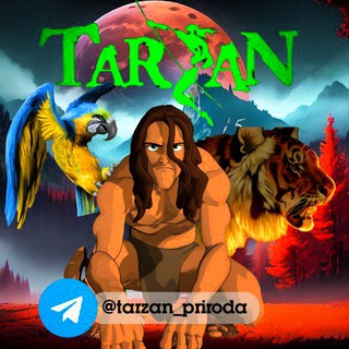 ТАРЗАН - Дикая природа