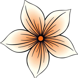Цветы | Букеты | Композиции
