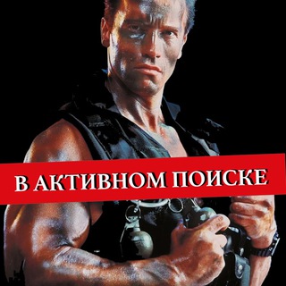 В АКТИВНОМ ПОИСКЕ