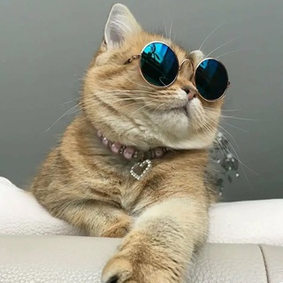 Ваша Ненашева