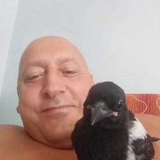 Сметанка на веранде🥛