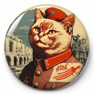 Всегда котов!