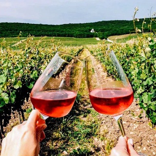 ВИННЫЙ ТУРизм🍇