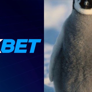 𝓟𝓔𝓝𝓖𝓤𝓘𝓝 𝓖𝓞𝓛𝓓𝓔𝓝 🐧