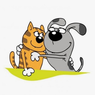 😸КОТИКИ И БОБИКИ🐶