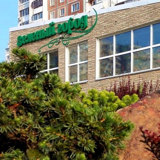 Зелёный город, Хабаровск